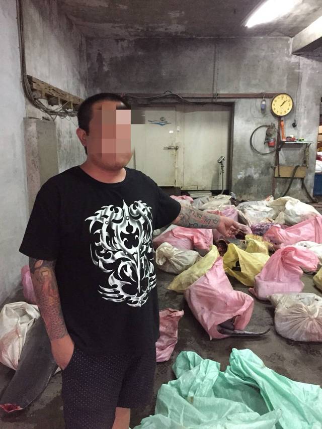 冷凍庫承租人坦承這批海豚肉是要拿去販賣。海巡隊/提供