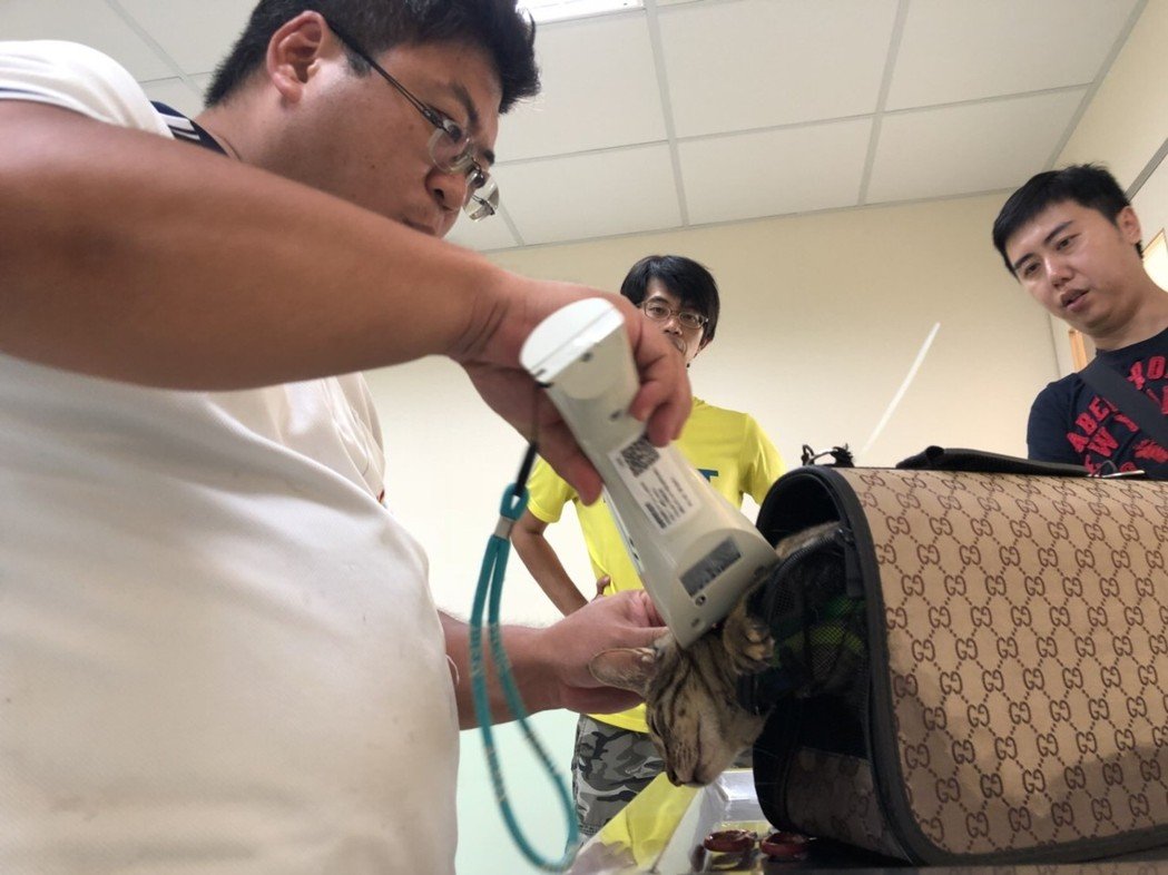 防疫單位派員進行晶片掃描。 海巡署金門岸巡隊/提供