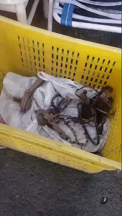 現場還找到許多捕獸鋏。 王姓愛媽/提供