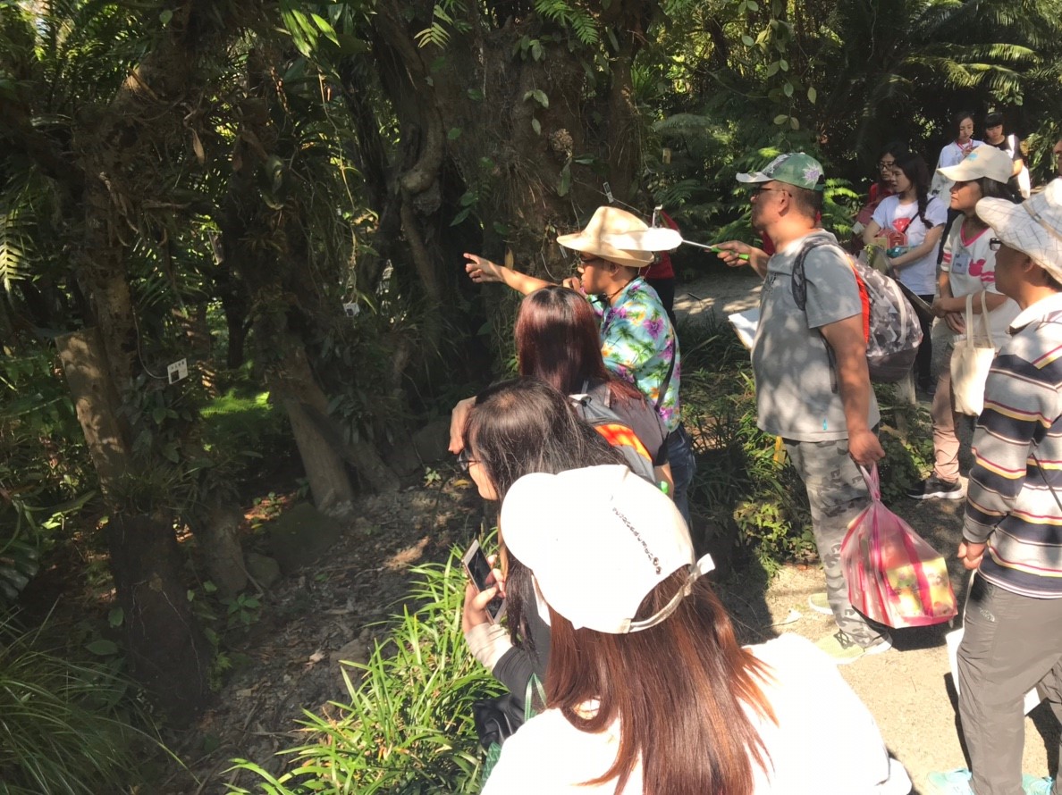 導覽員介紹綠世界生態農場內的植物供遊客認識。 姚崇仁/攝