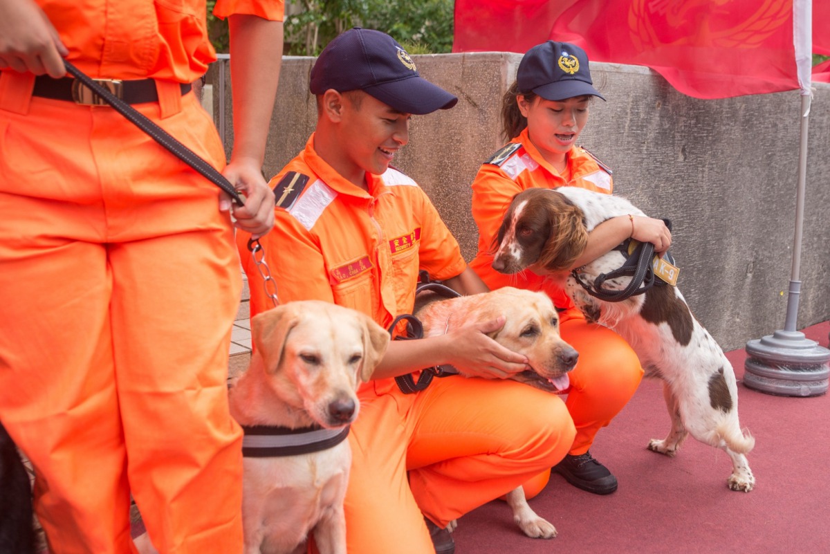 海巡偵搜犬與領犬員開心互動。桃園市政府/提供