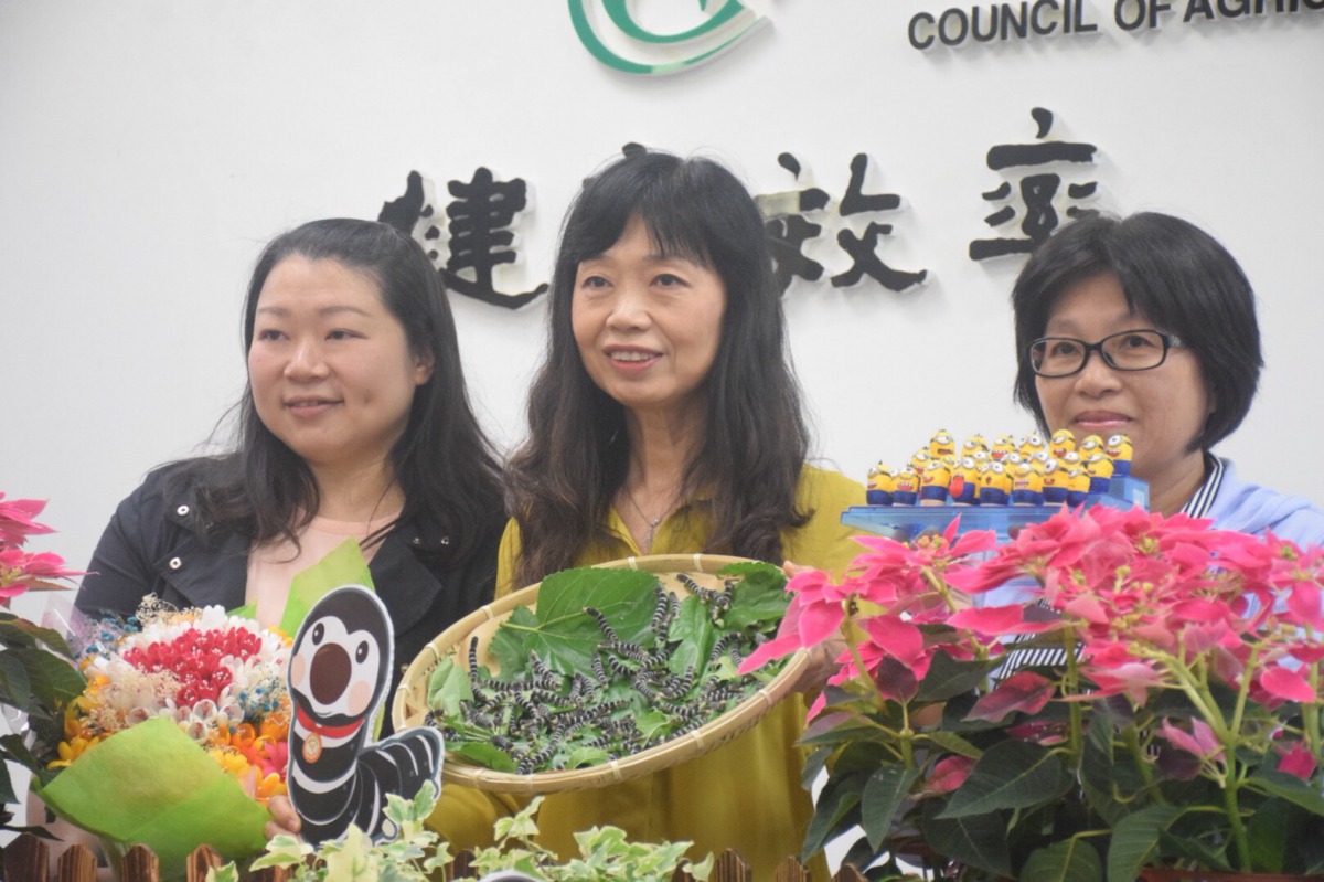 苗栗區農業改良場場長呂秀英(中)與研究員詹雲貞(右)共同發表新品種蠶寶寶「黑旋風」。 姚崇仁/攝