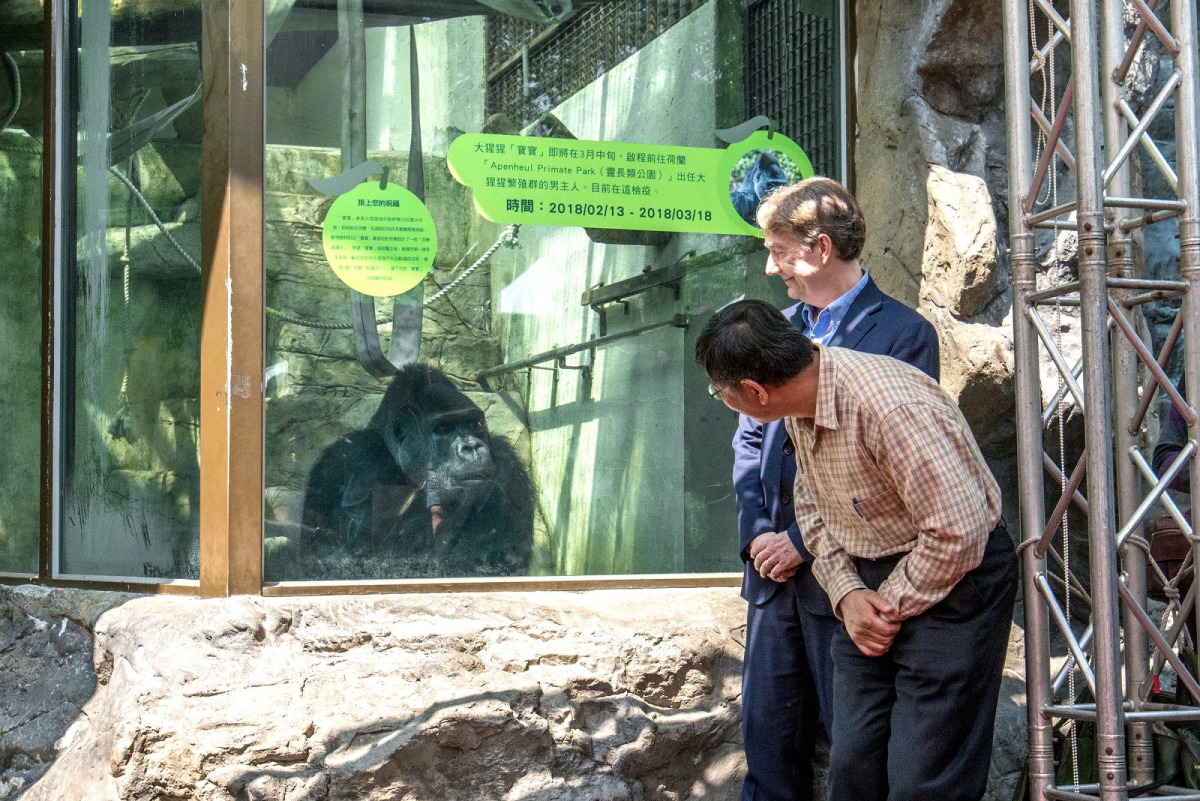 在場的所有人與檢疫舍裡的「寶寶」道別。 台北市立動物園/提供