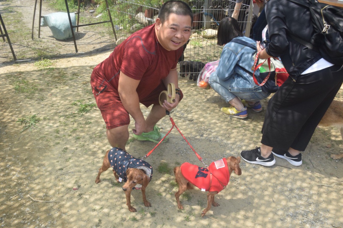 不少飼主一早就帶毛小孩來注射疫苗或植入晶片。 姚崇仁/攝