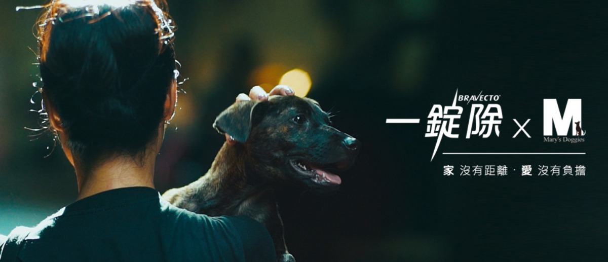 動藥公司與中途之家「Mary’s Doggies」攜手做公益。 取自/一錠除網站