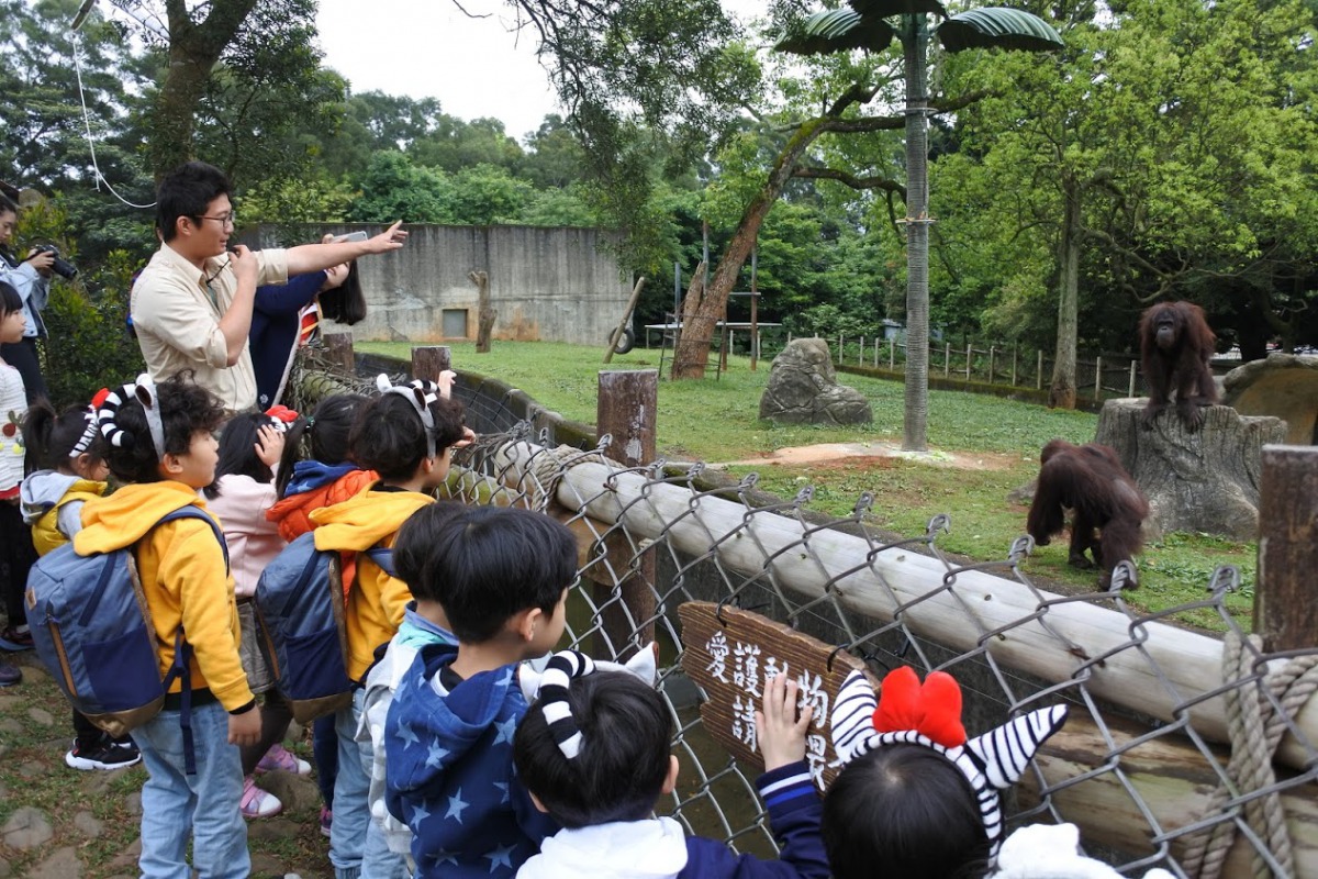 保育員為小朋友解說動物行為。 六福村/提供