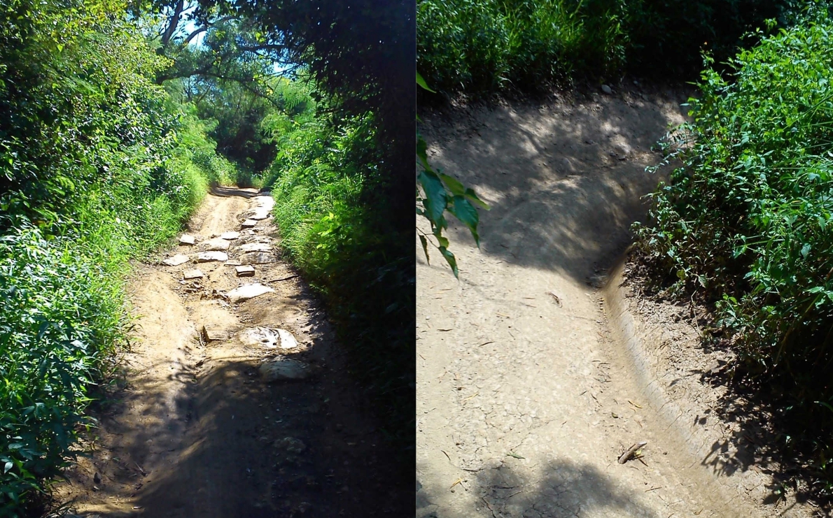 墾丁國家公園內因為沙灘車，而影響到生態環境。 墾丁國家公園管理處/提供