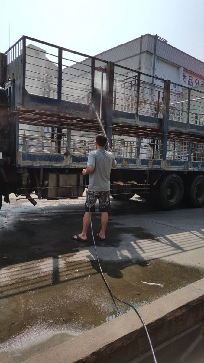 確實做好動物運輸車輛的消毒工作。 新北市動保處/提供