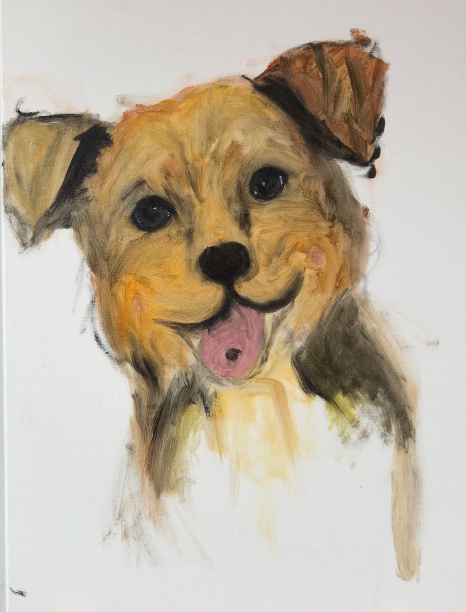 寫生活動的作品將會在動物之家展出。 新北市動保處/提供