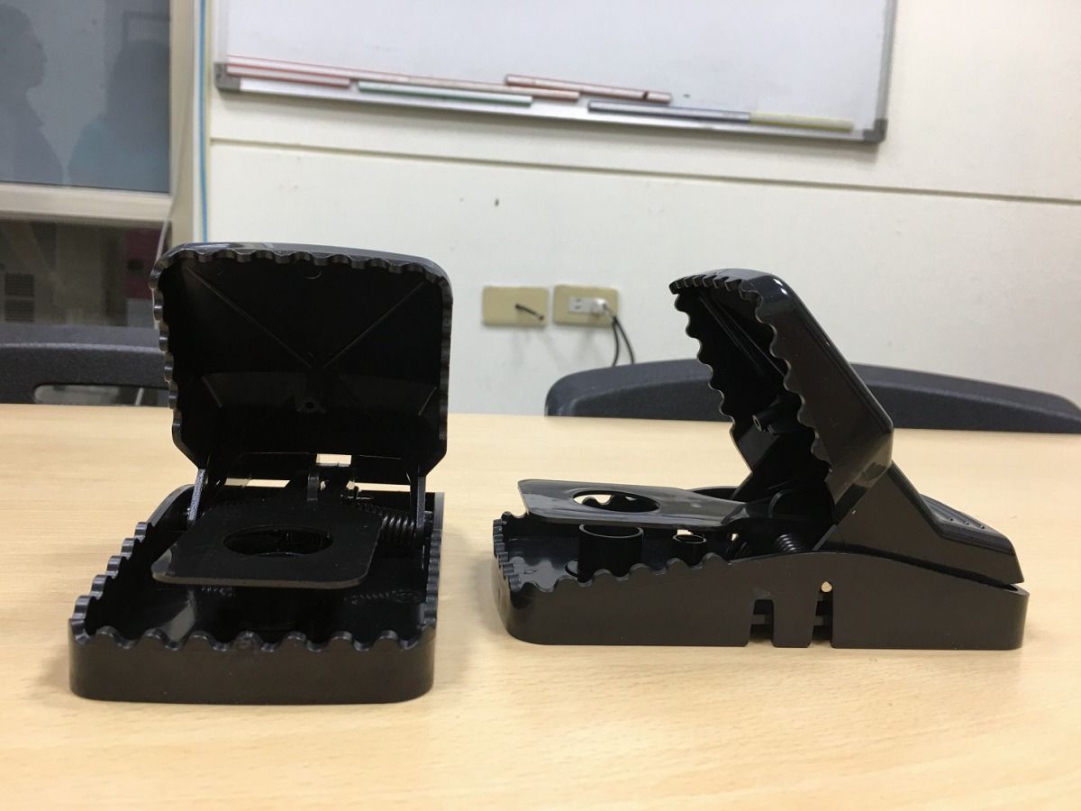 北市萬華區一處生活賣場違法販售塑膠製捕鼠夾,遭動保處開罰1萬5千元。 台北市動保處/提供