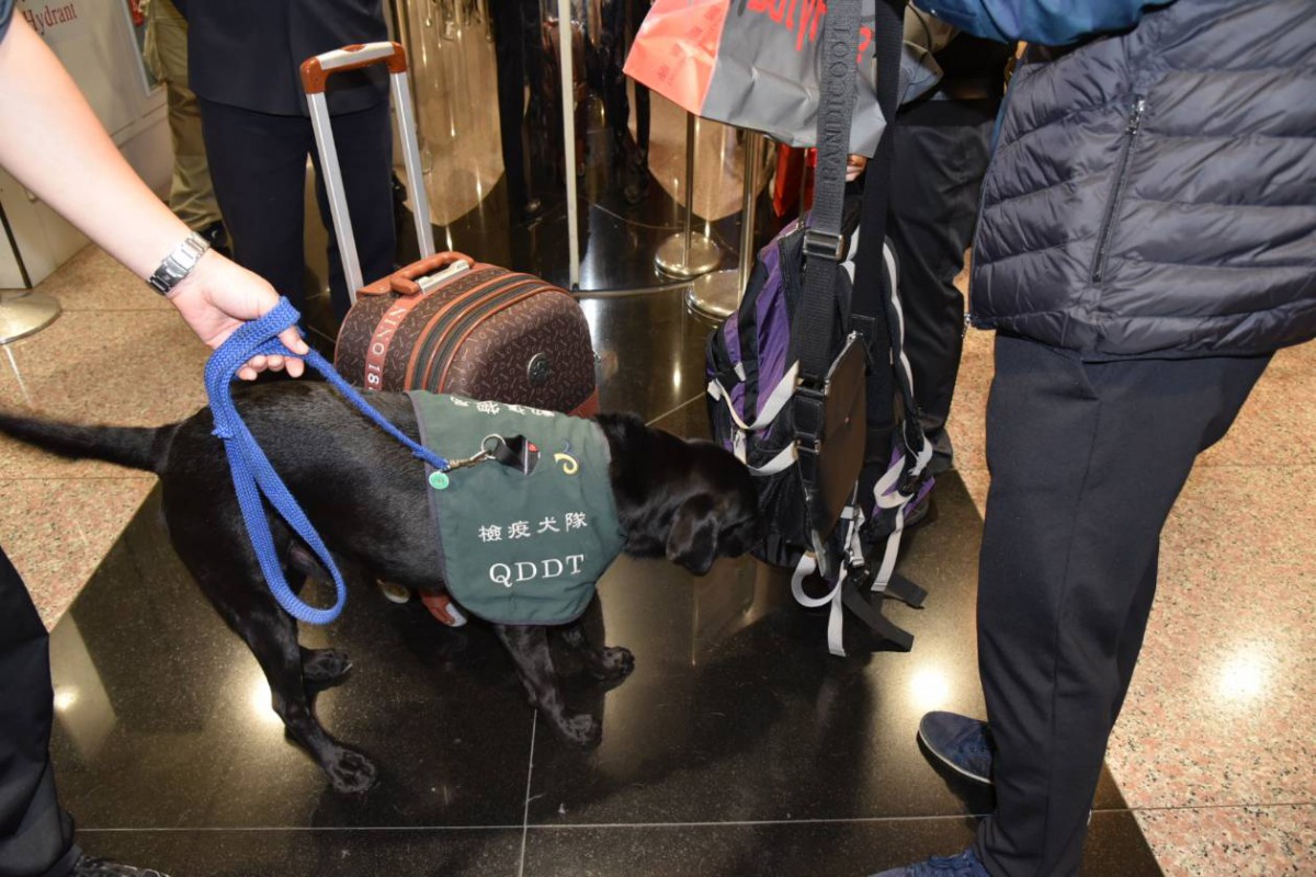 不要攜帶肉製品來台，一旦被x光機、檢疫犬查獲可裁罰20萬元罰鍰。 防檢局/提供