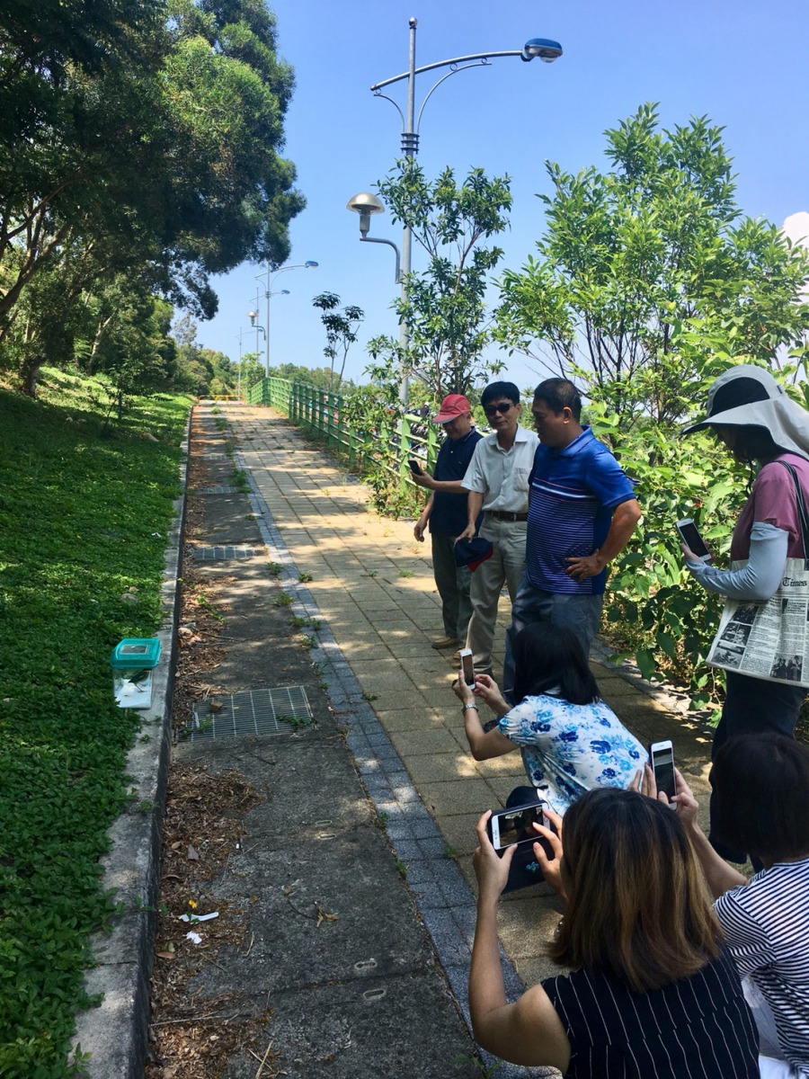 聯合大學多名師生在野放前，一睹稀有八色鳥的身影。 聯合大學/提供