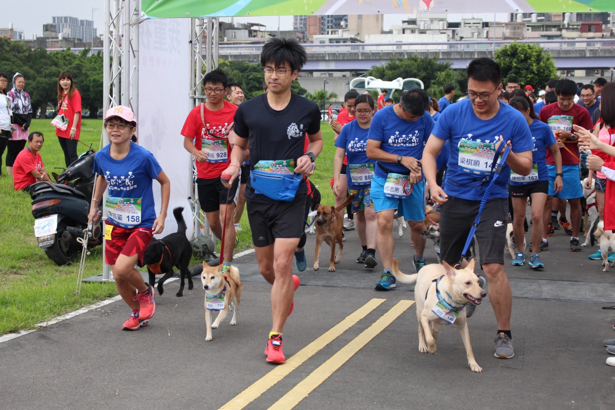 全台首場毛小孩路跑活動在綠寶石河濱公園盛大登場。 姚崇仁/攝
