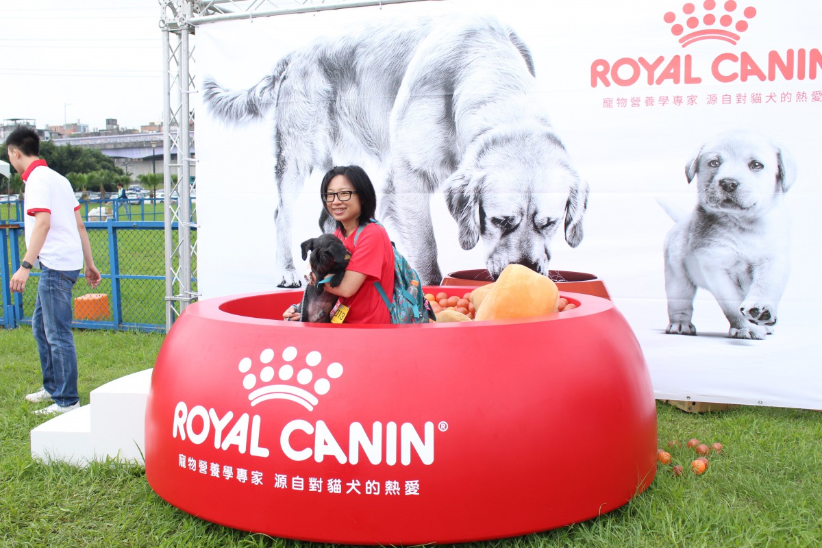 業者特別製作巨大狗碗開放飼主與狗狗拍照留念。 姚崇仁/攝