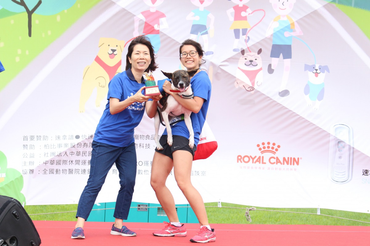 3K挑戰組中型犬由「花豆」獲得第一名殊榮。 姚崇仁/攝