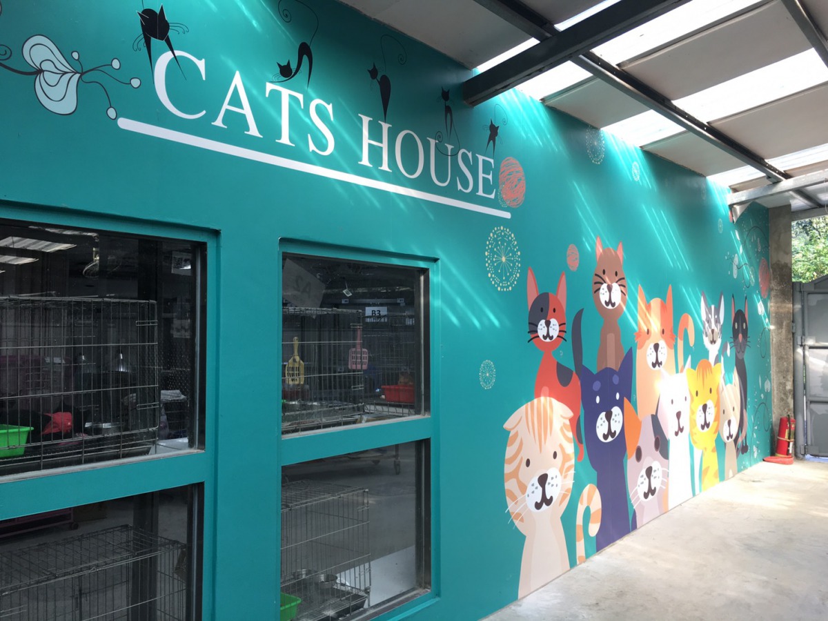 新店動物之家經過整修後貓舍可愛的外牆相當吸引人。 新北市動保處/提供