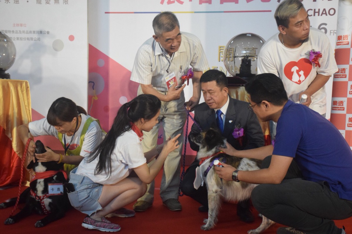 開幕典禮現場用牙膏幫狗狗們刷牙。 姚崇仁/攝