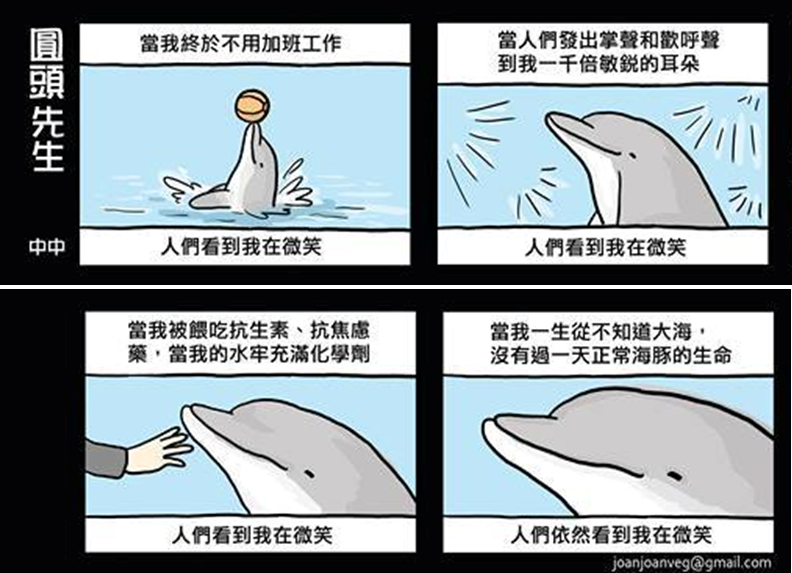 海豚的微笑，往往是最大的謊言。　取自網路
