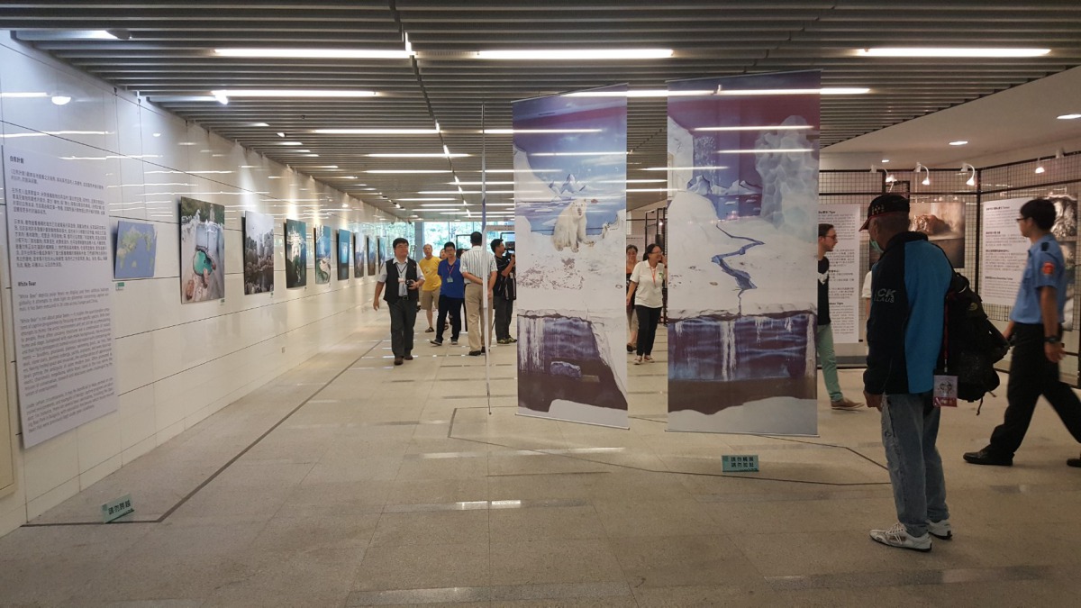 《白熊計劃 × WILD-LIFE》攝影聯展自7月1日至8月27日在國立公共資訊圖書館二樓藝文走廊展出。　李娉婷/攝