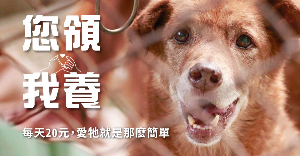 社團法人中華民國保護動物協會
